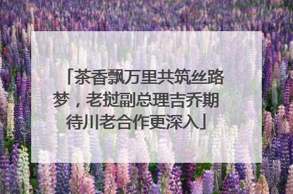 茶香飘万里共筑丝路梦，老挝副总理吉乔期待川老合作更深入