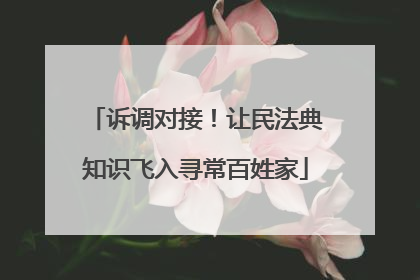 诉调对接！让民法典知识飞入寻常百姓家