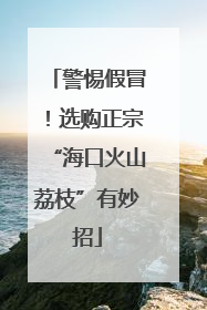 警惕假冒！选购正宗“海口火山荔枝”有妙招
