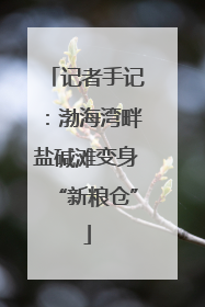 记者手记：渤海湾畔盐碱滩变身“新粮仓”