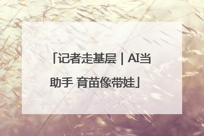 记者走基层｜AI当助手 育苗像带娃