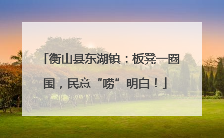 衡山县东湖镇：板凳一圈围，民意“唠”明白！