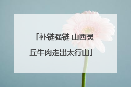 补链强链 山西灵丘牛肉走出太行山