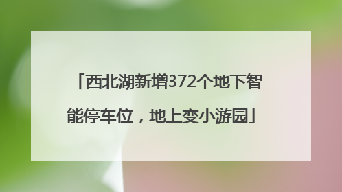 西北湖新增372个地下智能停车位，地上变小游园