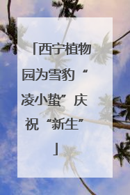 西宁植物园为雪豹“凌小蛰”庆祝“新生”