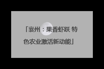 襄州：果香虾跃 特色农业激活新动能