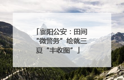 襄阳公安：田间“微警务”绘就三夏“丰收图”