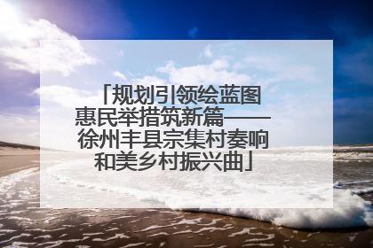规划引领绘蓝图 惠民举措筑新篇——徐州丰县宗集村奏响和美乡村振兴曲