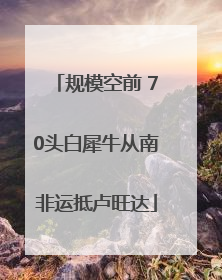 规模空前 70头白犀牛从南非运抵卢旺达