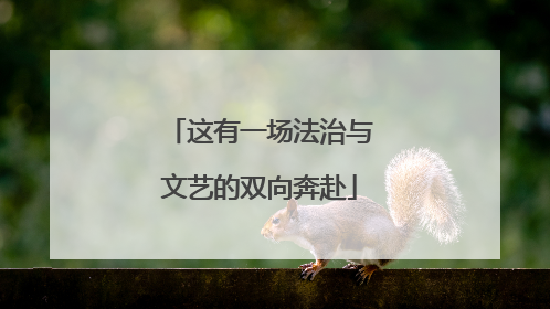 这有一场法治与文艺的双向奔赴