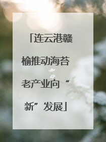 连云港赣榆推动海苔老产业向“新”发展