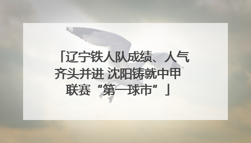 辽宁铁人队成绩、人气齐头并进 沈阳铸就中甲联赛“第一球市”