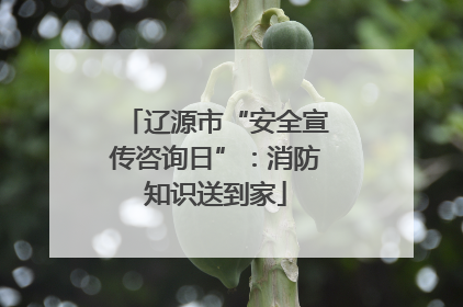 辽源市“安全宣传咨询日”：消防知识送到家