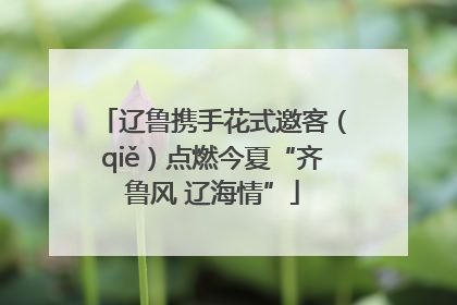 辽鲁携手花式邀客（qiě）点燃今夏“齐鲁风 辽海情”