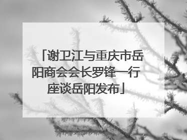 谢卫江与重庆市岳阳商会会长罗锋一行座谈岳阳发布