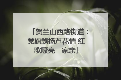 贺兰山西路街道：党旗飘扬芦花情 红歌嘹亮一家亲