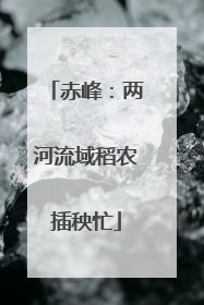 赤峰：两河流域稻农插秧忙