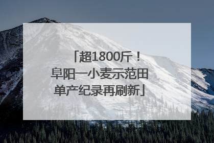 超1800斤！阜阳一小麦示范田单产纪录再刷新