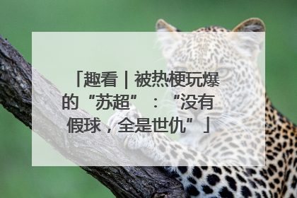 趣看｜被热梗玩爆的“苏超”：“没有假球，全是世仇”