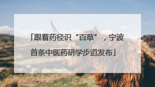 跟着药径识“百草”，宁波首条中医药研学步道发布