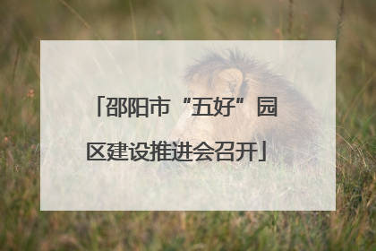 邵阳市“五好”园区建设推进会召开