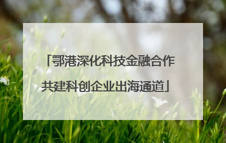 鄂港深化科技金融合作 共建科创企业出海通道
