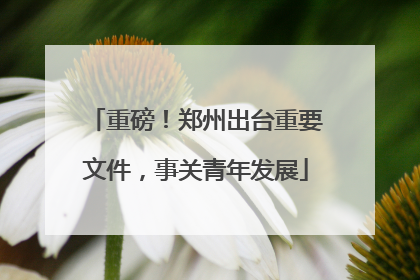 重磅！郑州出台重要文件，事关青年发展