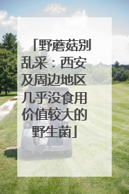 野蘑菇别乱采：西安及周边地区几乎没食用价值较大的野生菌