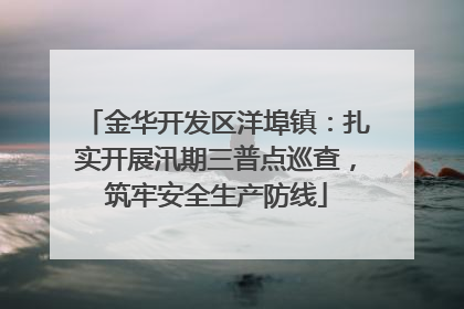 金华开发区洋埠镇：扎实开展汛期三普点巡查，筑牢安全生产防线