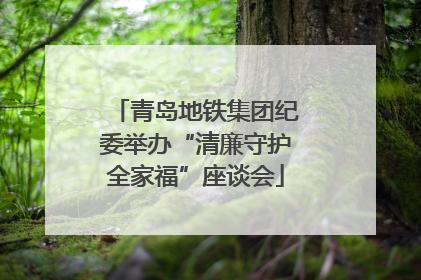 青岛地铁集团纪委举办“清廉守护全家福”座谈会