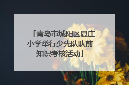 青岛市城阳区夏庄小学举行少先队队前知识考核活动