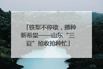 铁犁不停歇，播种新希望——山东“三夏”抢收抢种忙