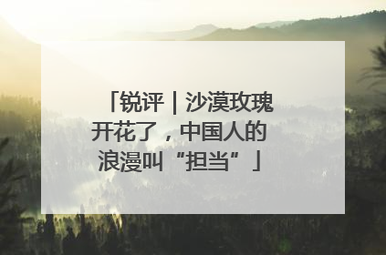 锐评｜沙漠玫瑰开花了，中国人的浪漫叫“担当”