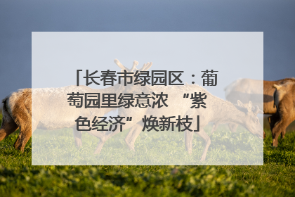 长春市绿园区：葡萄园里绿意浓 “紫色经济”焕新枝