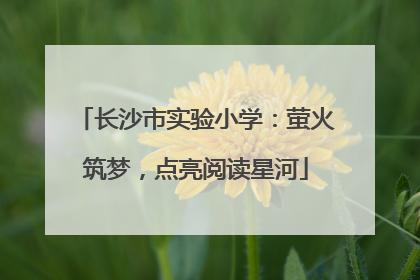 长沙市实验小学：萤火筑梦，点亮阅读星河