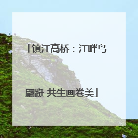 镇江高桥：江畔鸟翩跹 共生画卷美