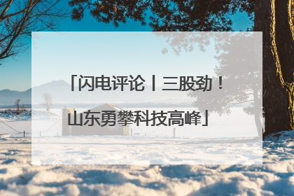 闪电评论丨三股劲！山东勇攀科技高峰