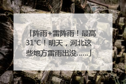 阵雨+雷阵雨！最高31℃！明天，河北这些地方雷雨出没……