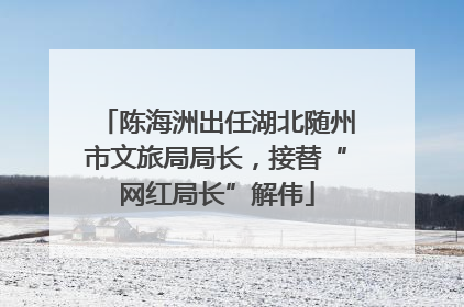陈海洲出任湖北随州市文旅局局长，接替“网红局长”解伟