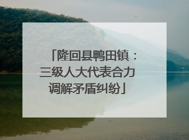 隆回县鸭田镇：三级人大代表合力调解矛盾纠纷