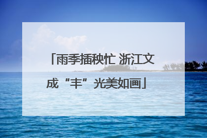 雨季插秧忙 浙江文成“丰”光美如画