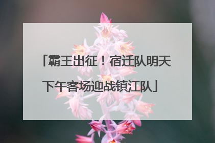 霸王出征！宿迁队明天下午客场迎战镇江队