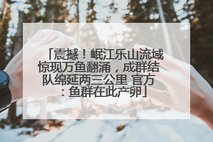 震撼！岷江乐山流域惊现万鱼翻涌，成群结队绵延两三公里 官方：鱼群在此产卵
