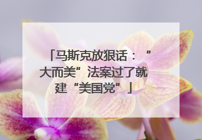 马斯克放狠话：“大而美”法案过了就建“美国党”