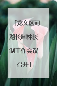 龙文区河湖长制林长制工作会议召开