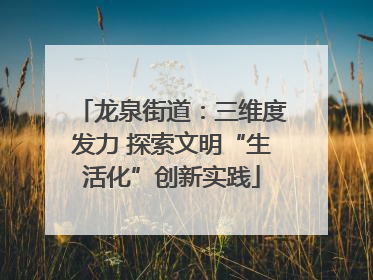 龙泉街道：三维度发力 探索文明“生活化”创新实践