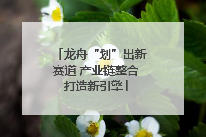 龙舟“划”出新赛道 产业链整合打造新引擎