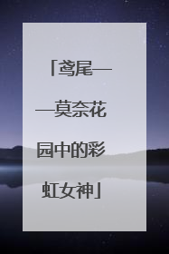 鸢尾——莫奈花园中的彩虹女神