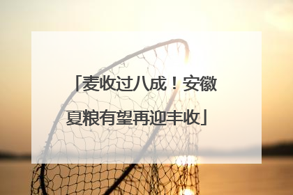 麦收过八成！安徽夏粮有望再迎丰收