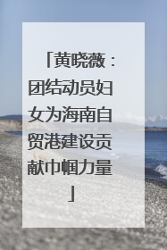 黄晓薇：团结动员妇女为海南自贸港建设贡献巾帼力量